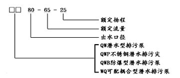 WQ型潛水無堵塞排污泵型號(hào)意義